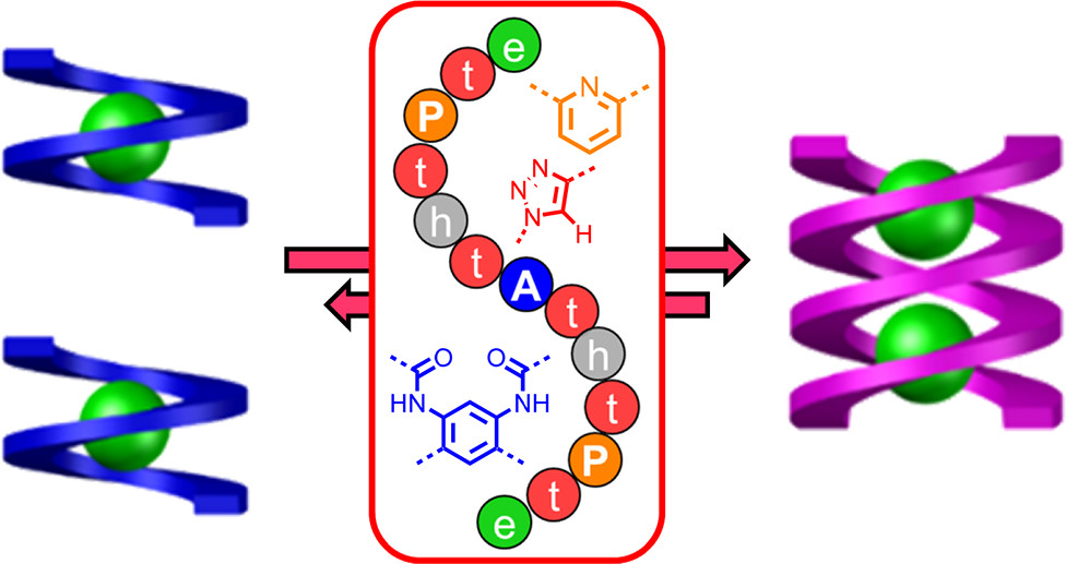 Sequence-controlled Stimuli-responsive Single-Double Helix Conversion between 1:1 and 2:2 Chloride-Foldamer Complexes